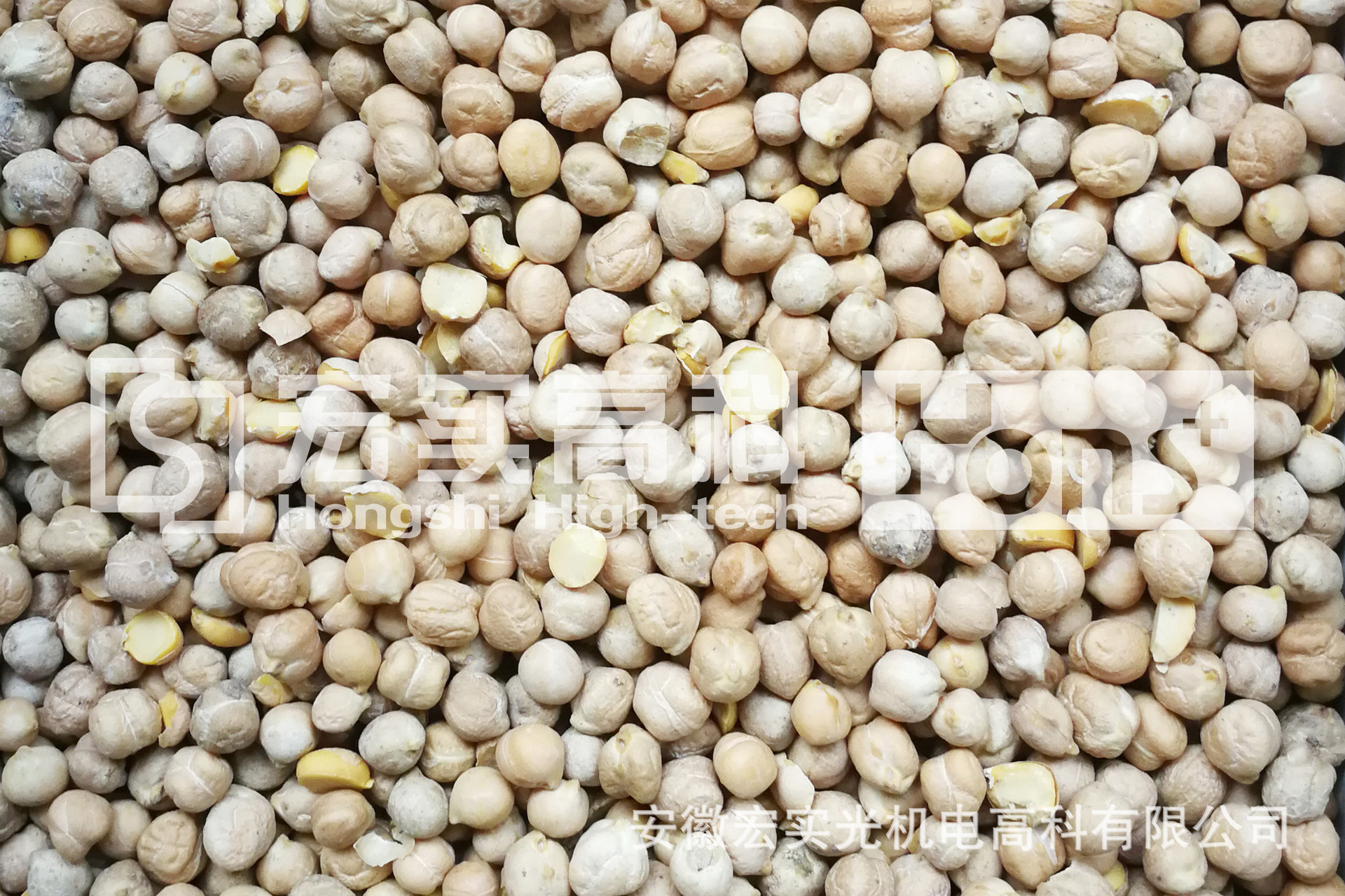 鷹嘴豆色選后良品