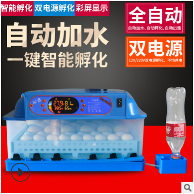 伊科貝特孵化機(jī)全自動家雞鴨鵝72枚小型孵蛋器智能控溫可定制110V