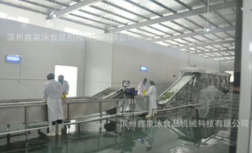 不銹鋼果蔬速凍前處理線 中央廚房蔬菜清洗機(jī)