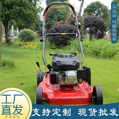 廠家直供四沖程手推草坪機(jī) 汽油款帶收草袋輪式割草機(jī) 農(nóng)場剪草機(jī)