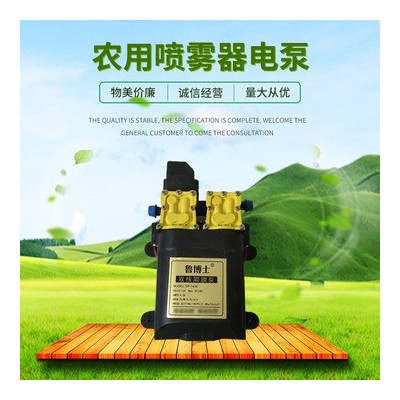 農(nóng)用打藥隔膜泵 12V智能高壓大功率雙泵 電動噴霧器水泵 架子泵