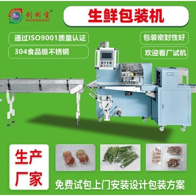 大型生鮮食品枕式包裝機水果蔬菜肉類自動食品包裝機械設備廠家