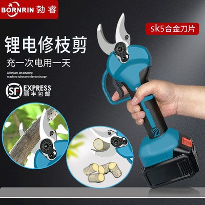 勃睿修枝剪電動(dòng)樹枝剪園藝剪無(wú)線便攜果樹剪鋰電池充電式園林剪刀