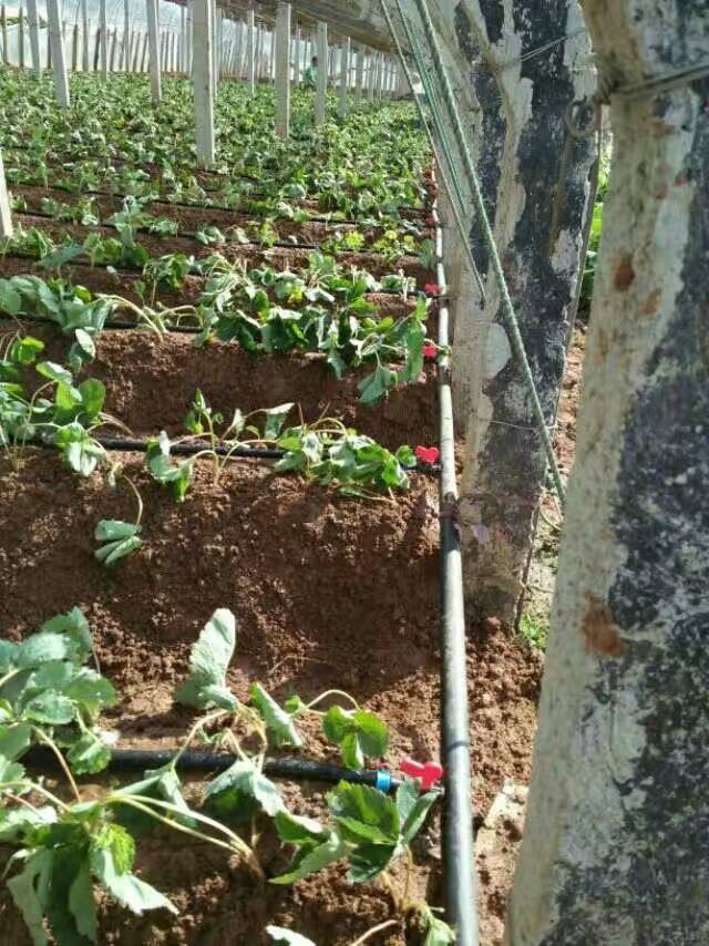 EACC046A213A1077A21189AEE6C2D1