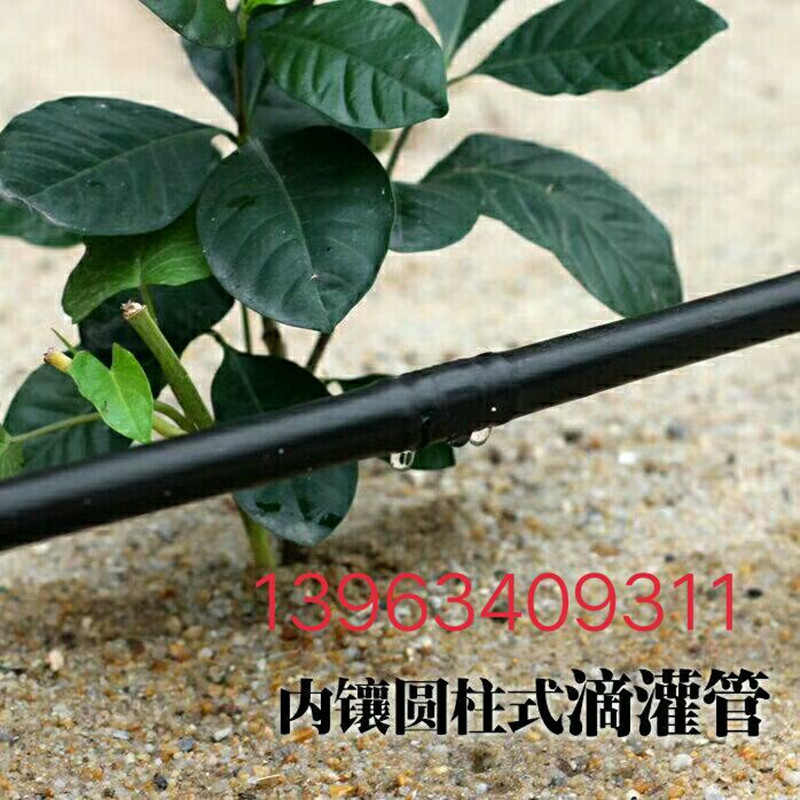 1BEA7D455AF88976F240D5F5A3A1EE