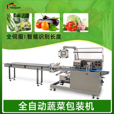 廠家定制蔬菜包裝機打包機水果包裝設備食品枕式包裝機械全自動