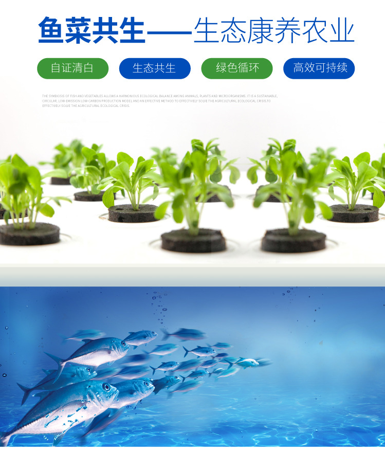 魚菜共生系統(tǒng)