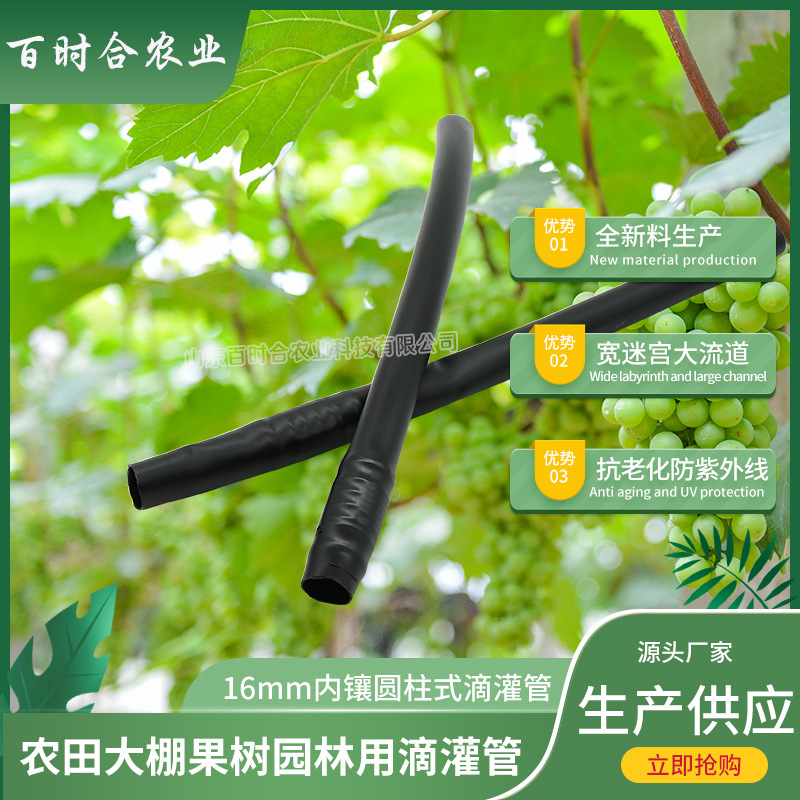 內鑲圓柱式滴灌管哪家好山東百時合農業科技有限公司