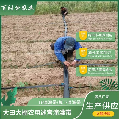 迷宮滴灌帶價格優 廠家生產供應膜下大田溫室農用迷宮式16滴水帶