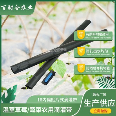 貼片式滴灌帶 廠家供應大棚農田蔬菜果樹用灌溉內鑲貼片式滴水帶
