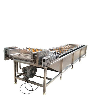 暢銷款噴淋式菌菇類清洗設備 葉類蔬菜去雜清洗線