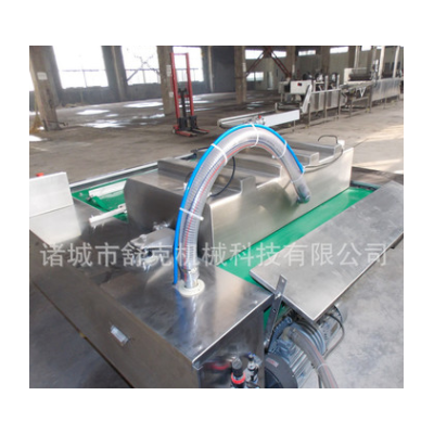 廠家直銷批發真空包裝機 食品雙室真空包裝機 大米真空包裝封口機