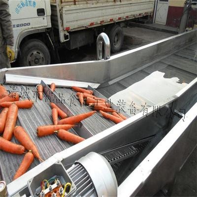 小型氣泡清洗機 自動不銹鋼果蔬清洗機 蔬菜 果蔬清洗機