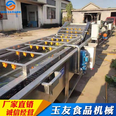 果蔬清洗機(jī) 淋噴式辣椒氣泡清洗機(jī)設(shè)備 全自動果蔬清洗機(jī)