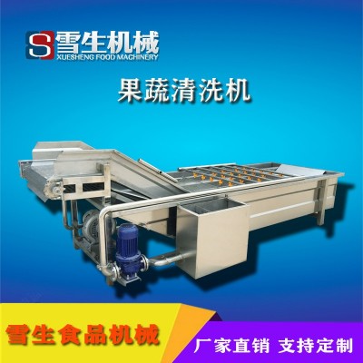 全自動連續式氣泡清洗機 定制果蔬氣泡清洗機 長期供應氣泡清洗機