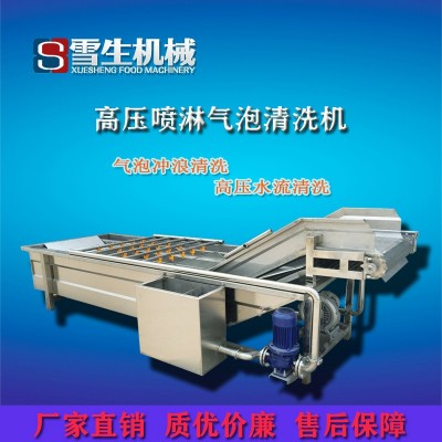 蔬菜氣泡清洗機 定制多功能果蔬氣泡清洗機 廠家供應氣泡清洗機