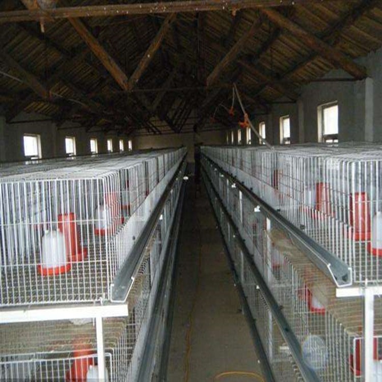 河南雞籠之鄉(xiāng)銷售立式育雛籠 、層疊育雛籠讓養(yǎng)殖變的更輕松