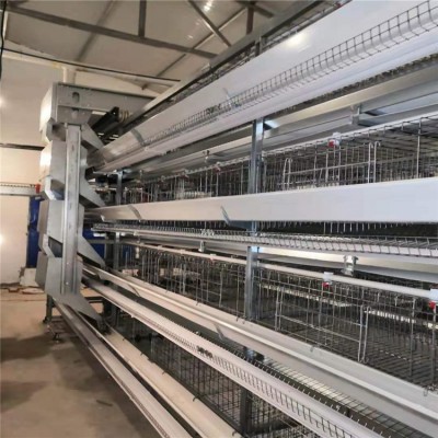 華順雞籠新品小層疊蛋雞籠 可多養(yǎng)雞 歡迎大家咨詢