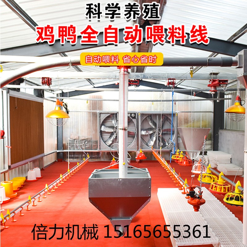 畜牧養(yǎng)殖設(shè)備雞自動料線水線喂食器飲水器自動上料機山東料線廠家