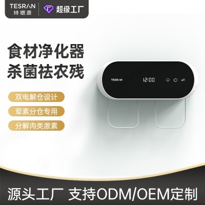 果蔬清洗凈化器家用蔬菜清洗機雙倉去農殘降解激素廠家直供
