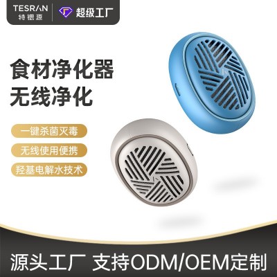 便攜果蔬清洗凈化器家用洗菜凈化消毒清洗機羥基去除農殘降解激素