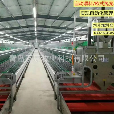 養(yǎng)兔子種兔設(shè)備 籠具歐式自動(dòng)喂料繁育兔籠