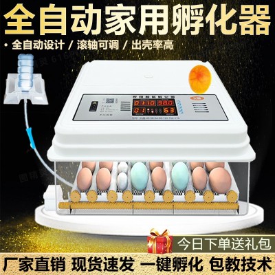 孵化器全自動(dòng)家用小型塑料殼孵化機(jī)家用孵化箱雞鴨鵝鴿子蛋孵化器