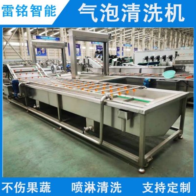 供應(yīng)蔬菜水果清洗機柑桔橙子清洗機 自動氣泡清洗機 洗果機洗菜機