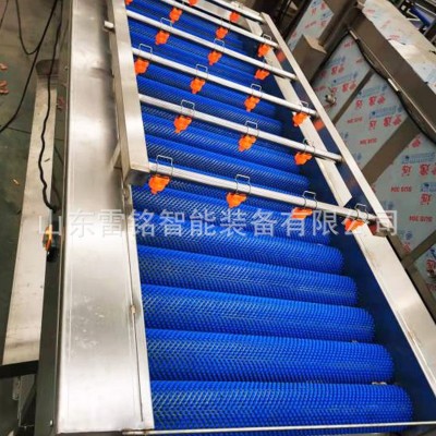 全自動紅薯清洗機 氣泡沖浪噴淋洗菜機 根莖類蔬菜清洗風(fēng)干線