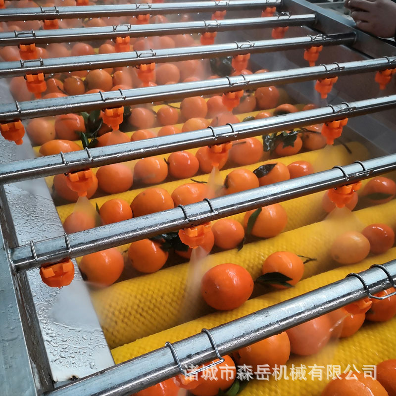 水果線15.jpg