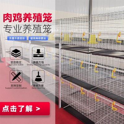 三層兩門立體式肉雞籠鋼絲網養殖設備雞籠子配件H型層疊式肉雞籠