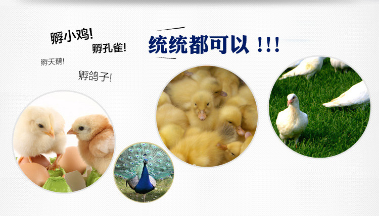 TB2YXehaVXXXXbVXpXXXXXXXXXX-43