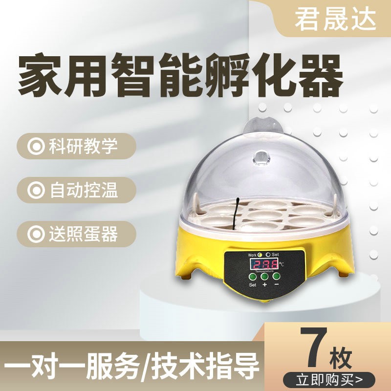 7枚迷你小雞孵化養(yǎng)殖孵蛋器 小型家用鳥類雞蛋孵化器智能孵化機