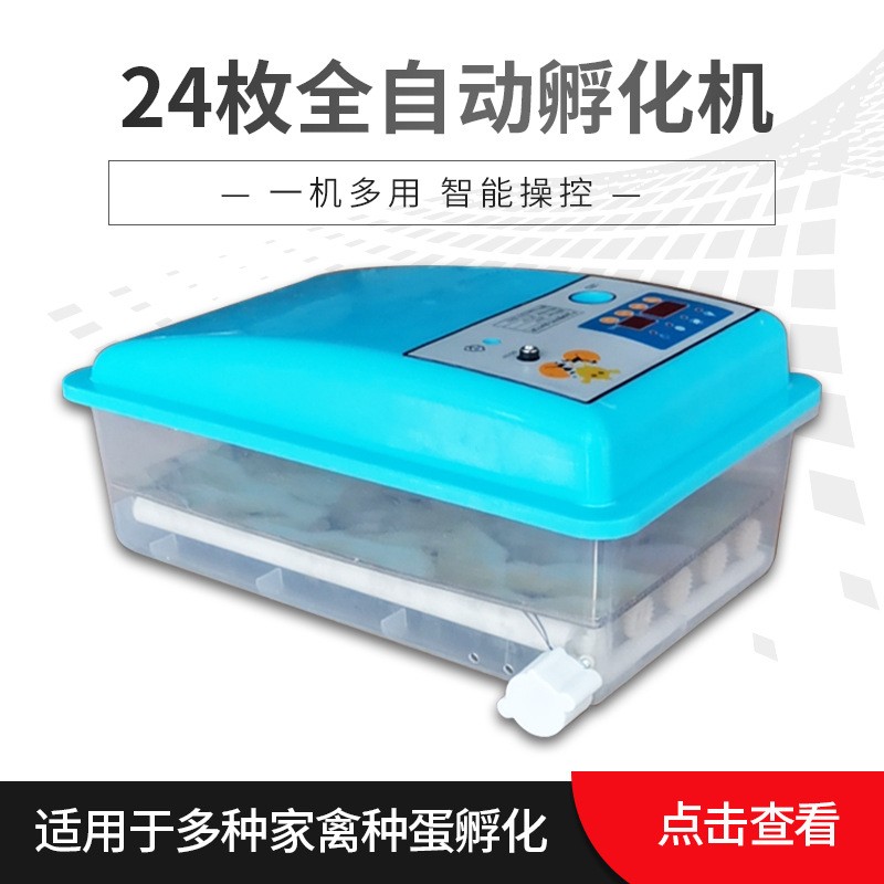 廠家代發(fā)24枚自動迷你孵化機智能家用小型孵化設備egg incubator