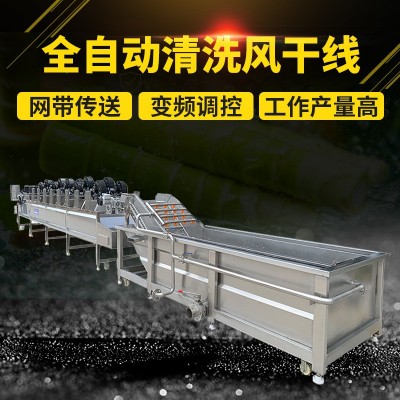 大葉類蔬菜氣泡清洗機 海鮮高壓氣泡清洗機 現貨銷售