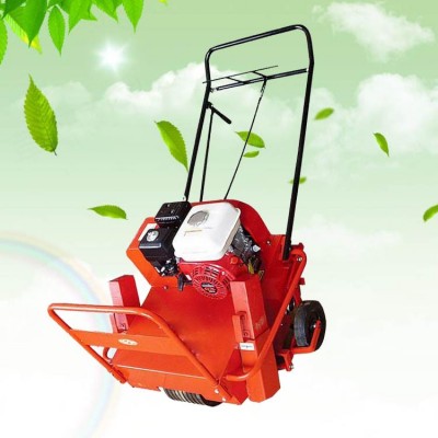 手推式小型草坪打孔機 人工種植草坪打孔機 草地透氣自走鉆孔機