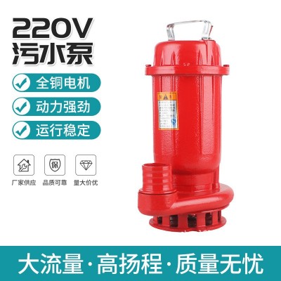 家用小型抽水泵批發 化糞池抽糞排污泵泥漿 高揚程潛污水泵220V