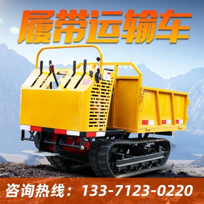 山地小型履帶式運輸車 爬山虎全地形農用車 爬坡果園柴油手扶搬運