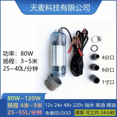 天麥12伏直流潛水泵1寸農(nóng)用抽水機(jī)車載24伏電動(dòng)抽水泵12v小型水泵