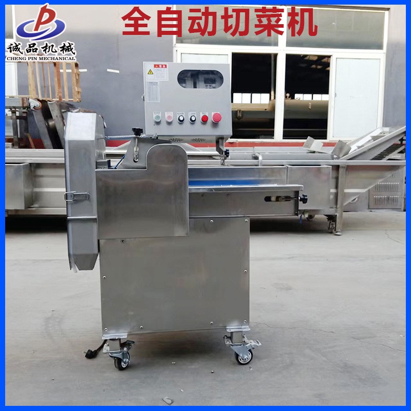 新型多功能土豆切絲機(jī)切菜機(jī) 商用紅薯切丁機(jī) 全自動(dòng)切土豆片