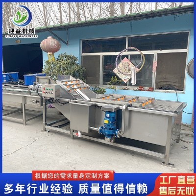 山野菜去農(nóng)殘氣泡清洗機(jī) 多功能果蔬清洗機(jī) 商用不銹鋼噴淋清洗機(jī)