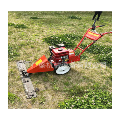 汽油小型手推剪草機 農用碎草機 自動割草機