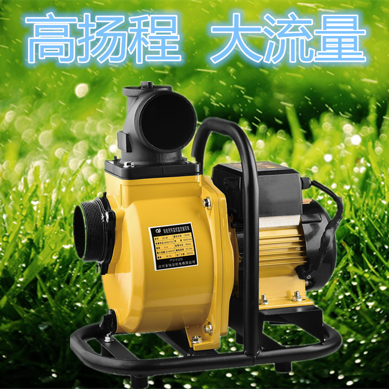 DSC_2554_副本_副本