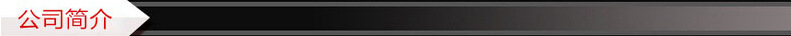 公司簡介