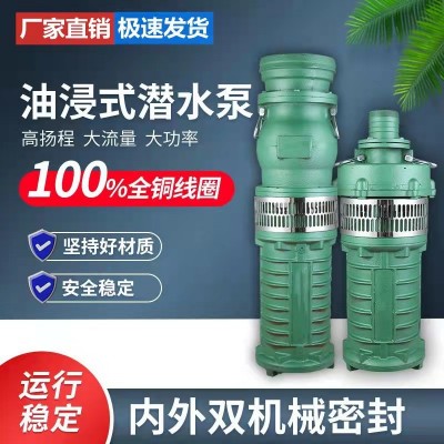 廠家直銷QY潛水泵專業(yè)QY40-16-3潛水泵深井潛水噴泉泵花園灌溉泵