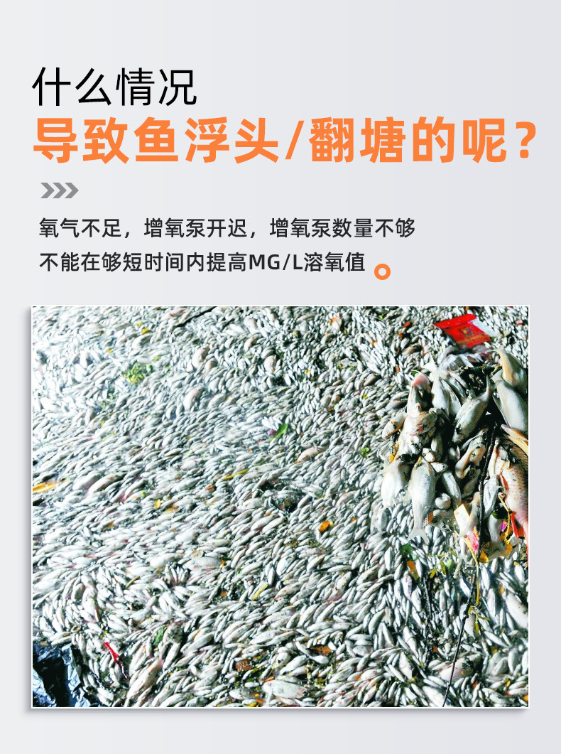 小紅帽_03.jpg