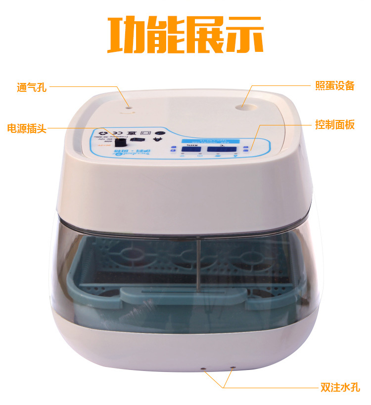 16枚白色-拷貝_02