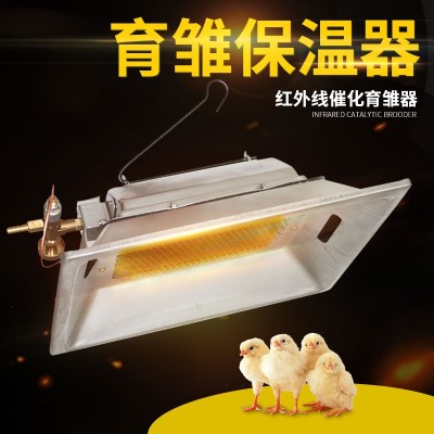 孵化出雛一體機紅外線催化育雛器 紅外線育雛保溫器 養雞設備