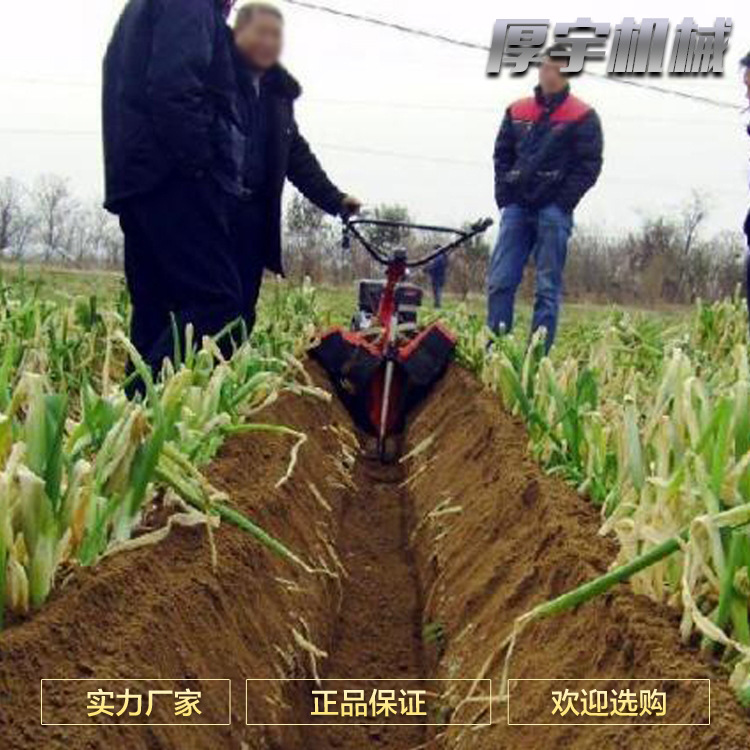 開溝機(jī)現(xiàn)場(chǎng)