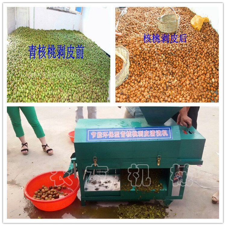 核桃機 小型 內部結構_副本